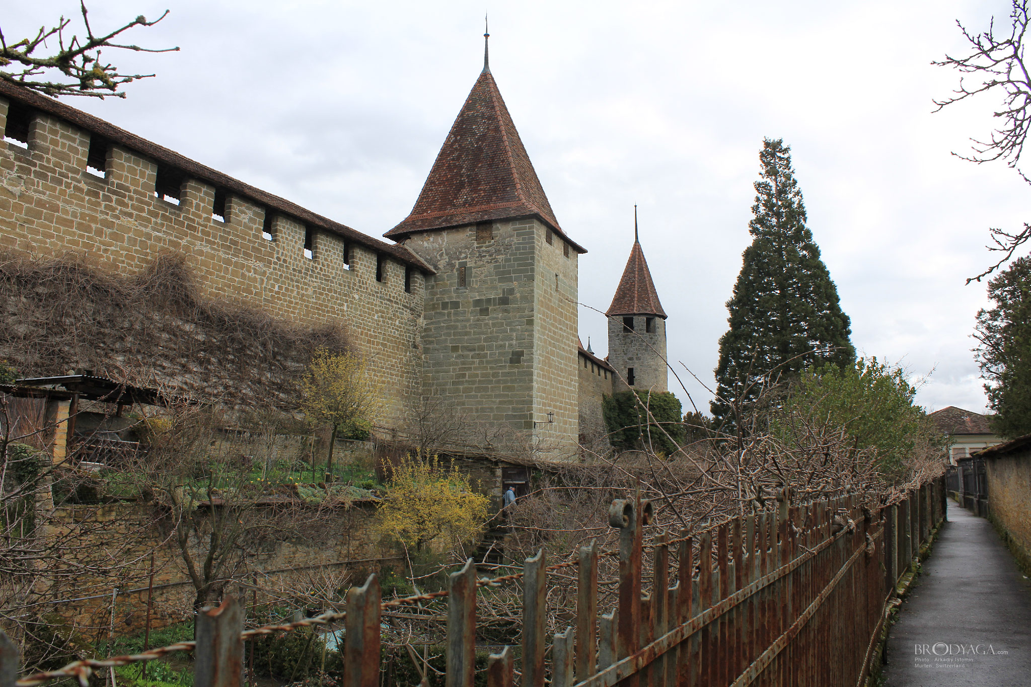 Walls of Murten (Morat)
